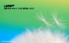 雨林木风32位win11专用多驱动版v2022.07